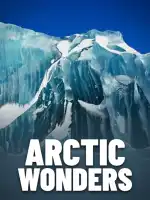 Arctic Wonders