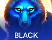 Black Wolf