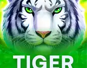 Tiger Gems