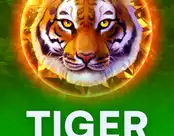 Tiger Stone