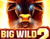 Big Wild Buffalo 2