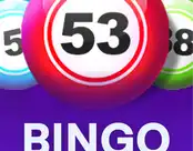 Bingo Power
