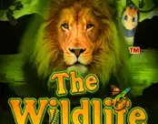 The Wildlife