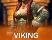 Viking Age