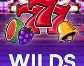 Wilds Of Fortune