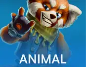 Animal Quest