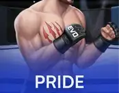 Pride Fight