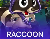 Raccoon Tales