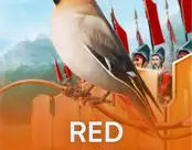 Red Cliff