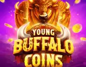 Young Buffalo Coins