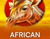 African Sunset