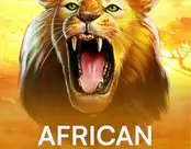 African Sunset 2