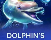 Dolphin’s Dream