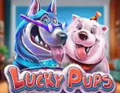 Lucky Pups