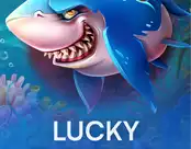 Lucky Reefs
