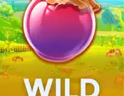 Wild Marmalade