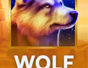 Wolf Story