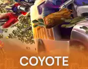Coyote Crash