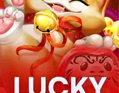 Lucky Fortune Cat
