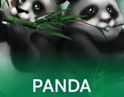 Panda Panda