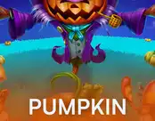 Pumpkin Patch