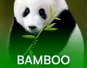 Bamboo Bear