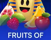 Fruits of Mbit
