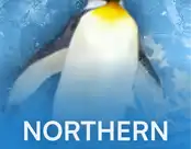 Northern Heat