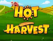 Hot Harvest