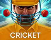 Cricket Crash