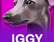 Iggy Racing