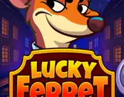 Lucky Ferret