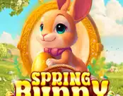 Spring Bunny