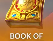 Book of Light