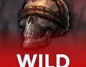 Wild Witches