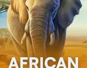 African Elephant