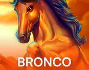 Bronco Spirit