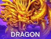 Dragon Hero
