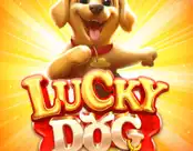 Lucky Dog