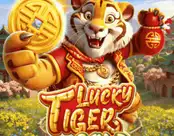 Lucky Tiger Gold