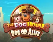 The Dog House – Dog or Alive