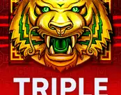 Triple Tigers