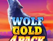 Wolf Gold 4 Pack