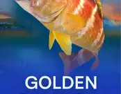 Golden Catch