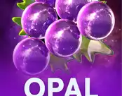 Opal Fruits