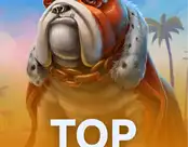 Top Dawg$