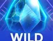 Wild Portals