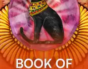 Book of Pyramids