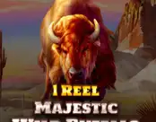 1 Reel – Majestic Wild Buffalo