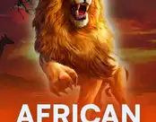 African Fortune